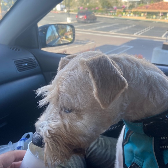 Meet your Posher, Simone - Picture 6 of 15